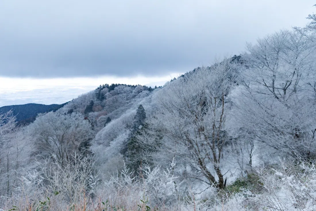 Mount Kongo (Chihaya-Akasaka), Osaka