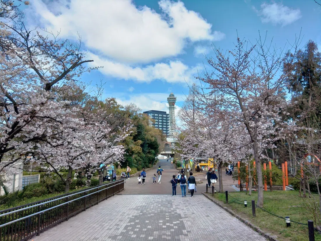 Zoo di Tennoji, Osaka